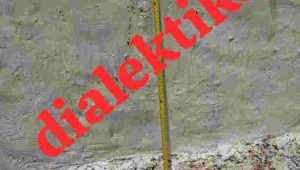 IMG-20251011-WA0130_copy_757x962